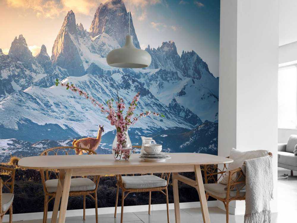 Guanaco près de sommets enneigés.