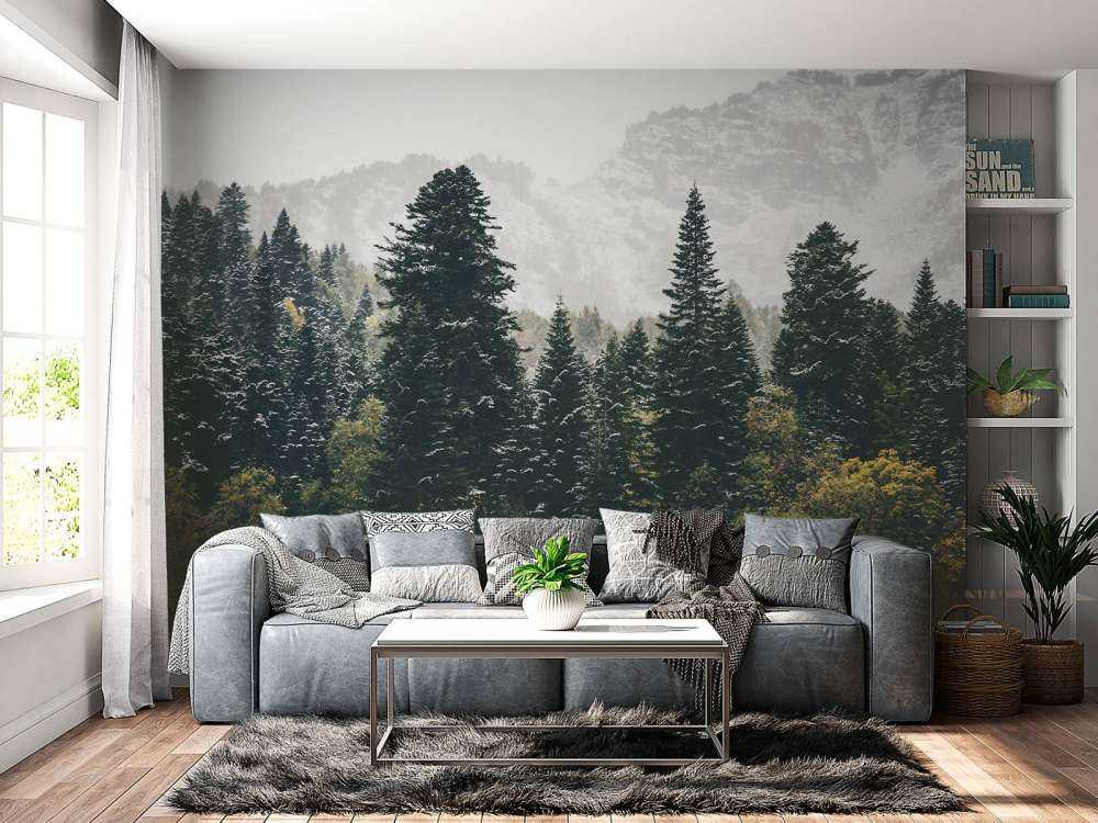 Forêt de conifères