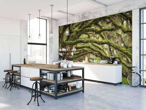 Forêt enchantée