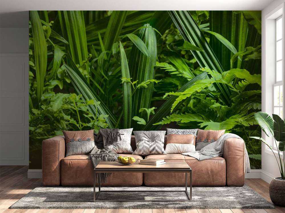 Panorama avec des plantes