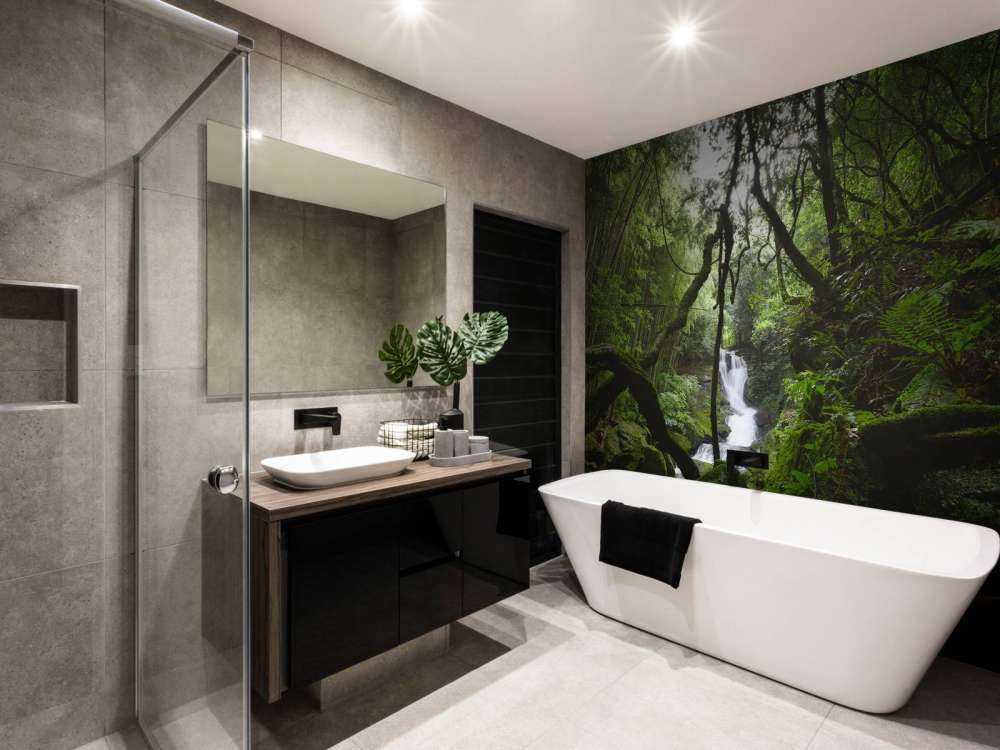 Chute d'eau entourée d'arbres