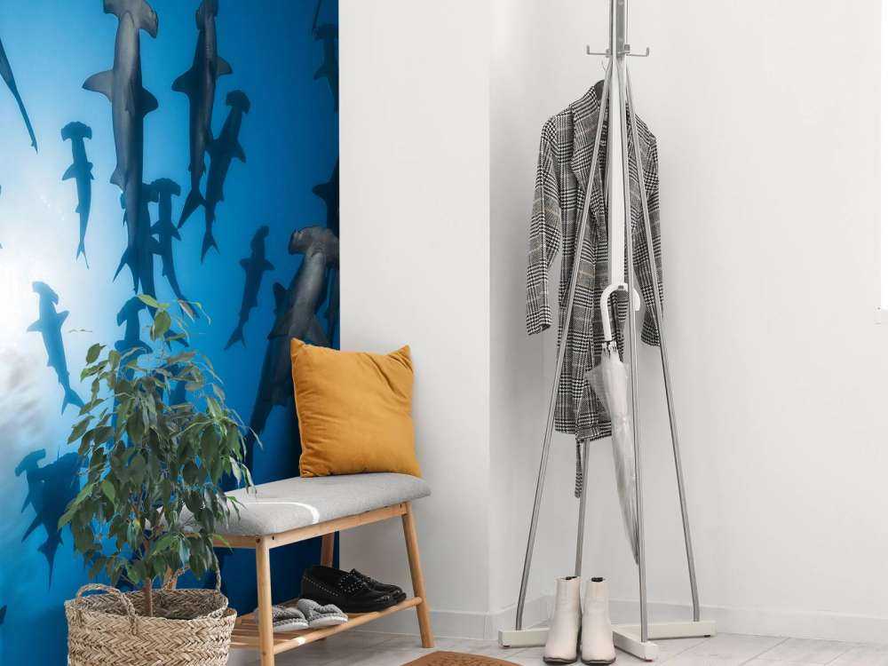 Hammerhead Shark - Underwater Photography