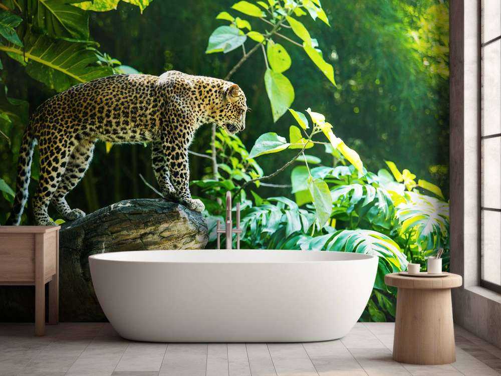 Léopard sur un rocher