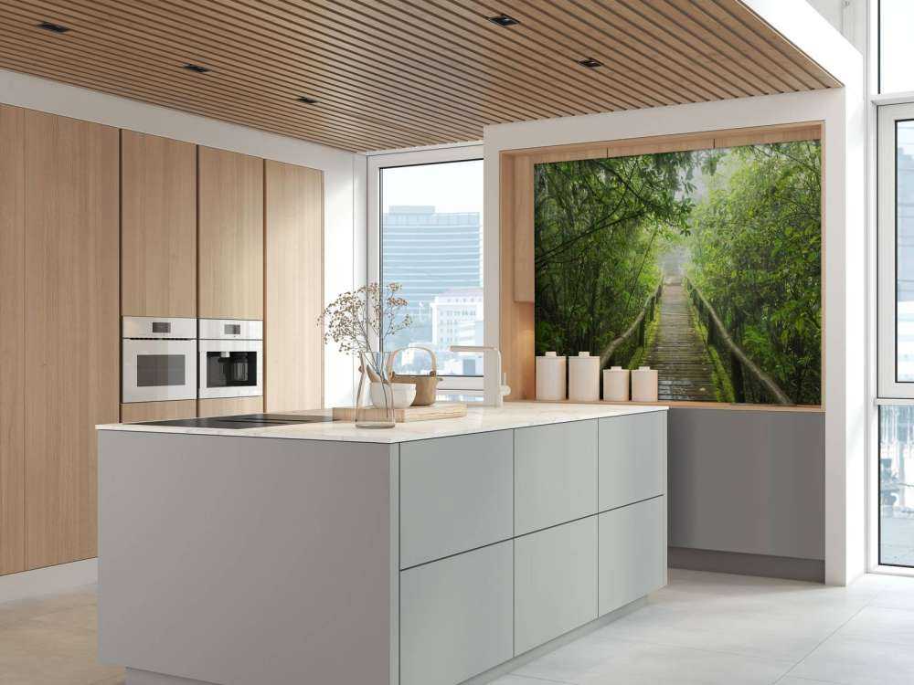 Jungle verte et brumeuse