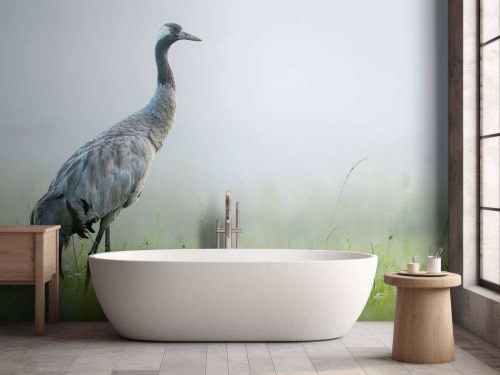 Grue dans la brume du matin