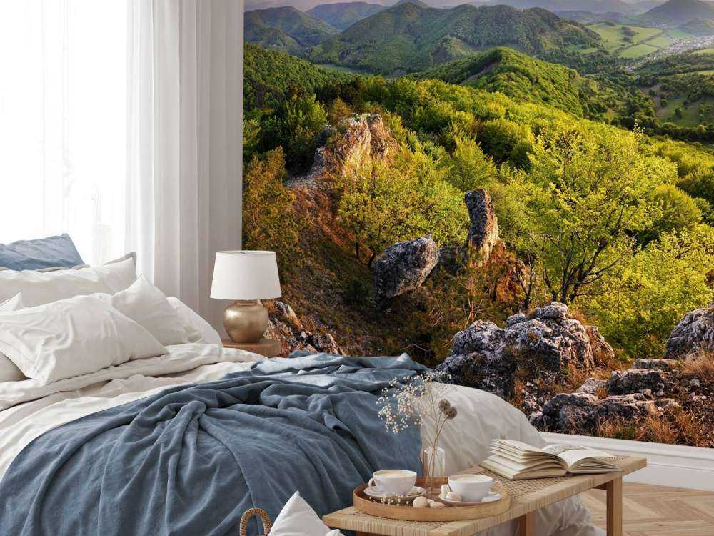 Paysage de montagne au printemps