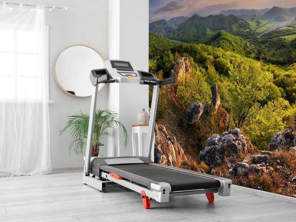 Paysage de montagne au printemps