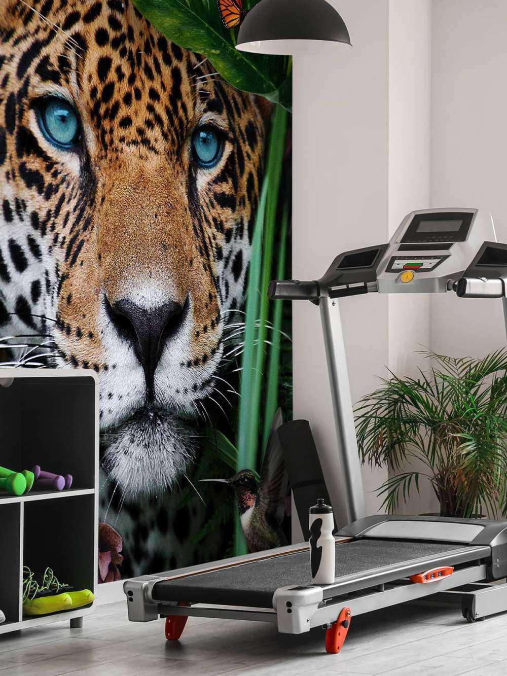 Jungle Leopard