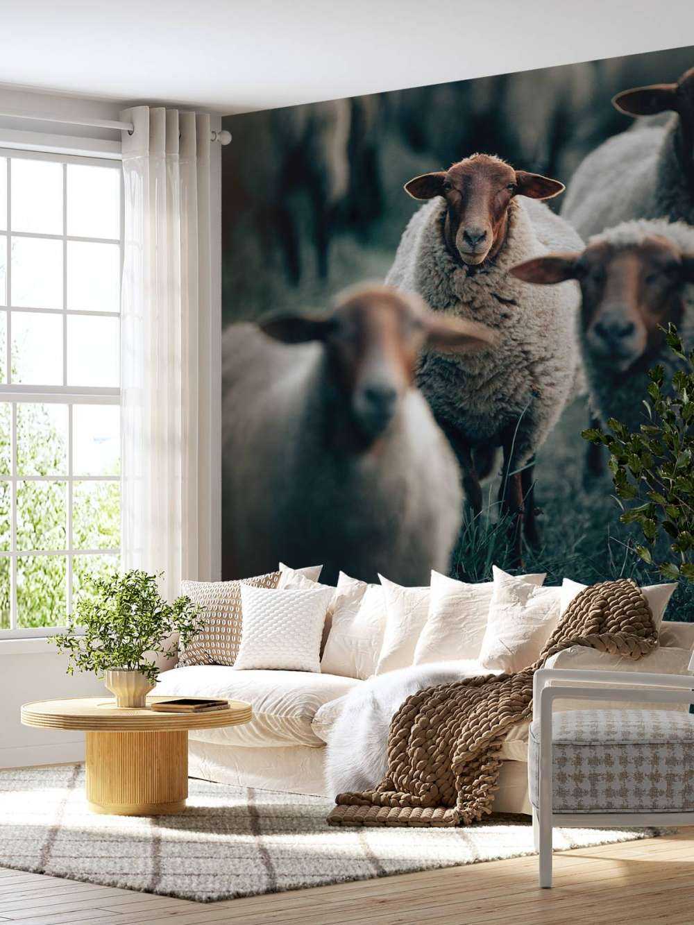 Mouton heureux