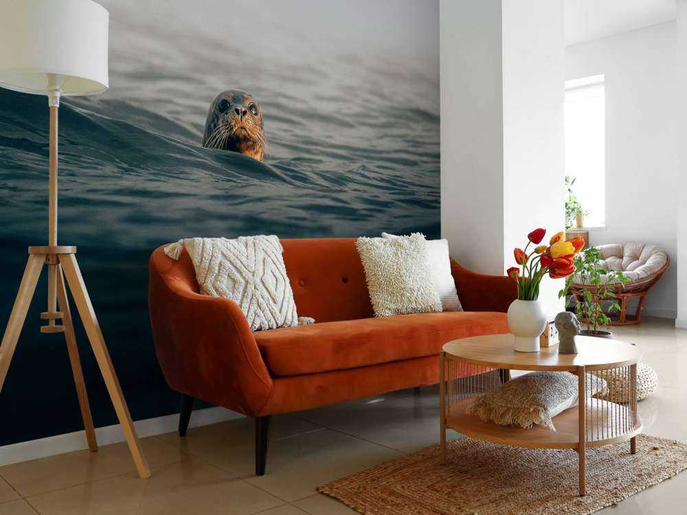 Un phoque au large des côtes danoises