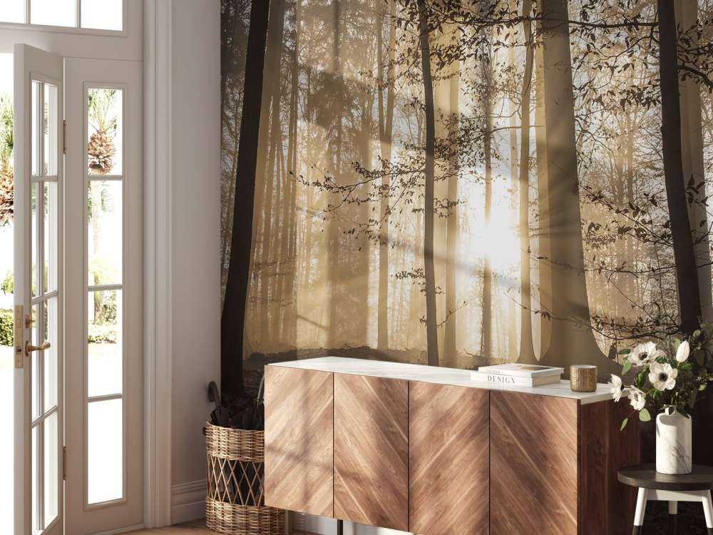 Soleil dans une forêt brumeuse