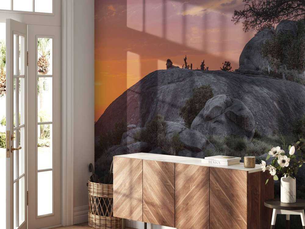 Coucher de soleil sur la savane