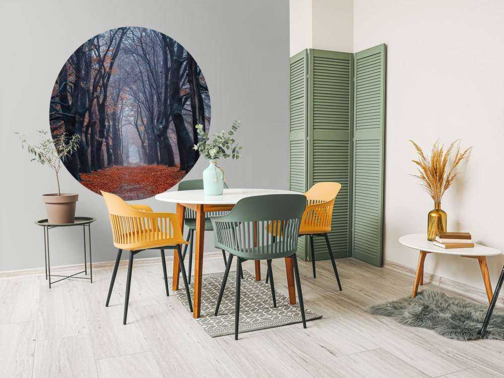 Chemin forestier avec des feuilles