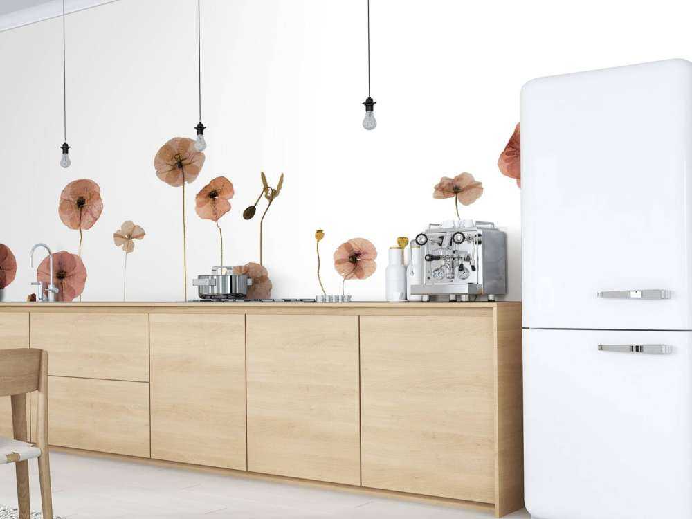 Champ de fleurs de coquelicot coloré