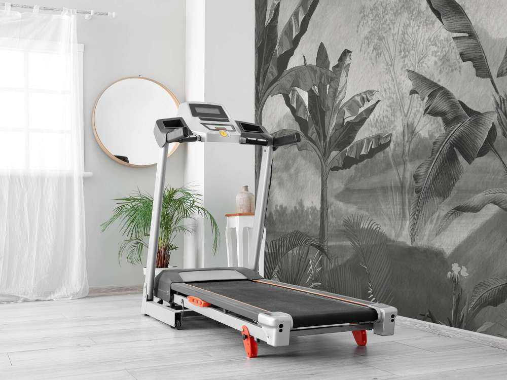 Bananiers en noir et blanc