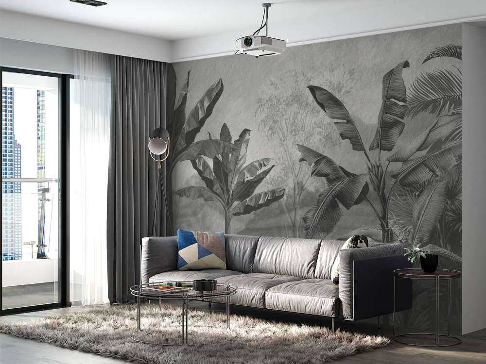 Bananiers en noir et blanc