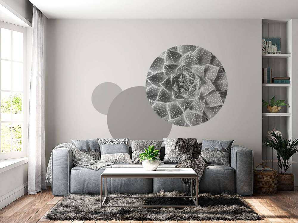 Gros plan sur succulente