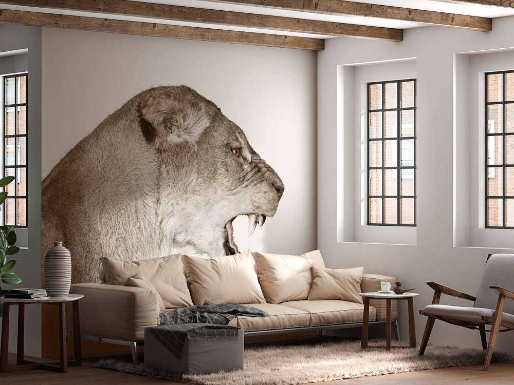 Lionne vue de côté blanc cassé