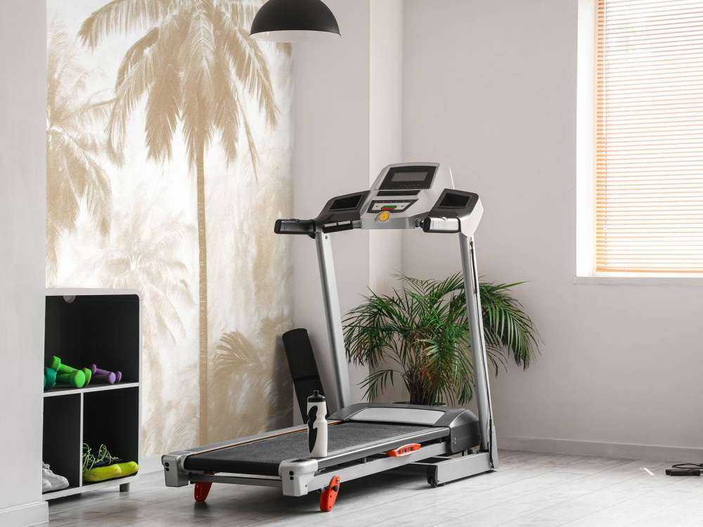 Forêt de Palmiers Brumeuse, taupe