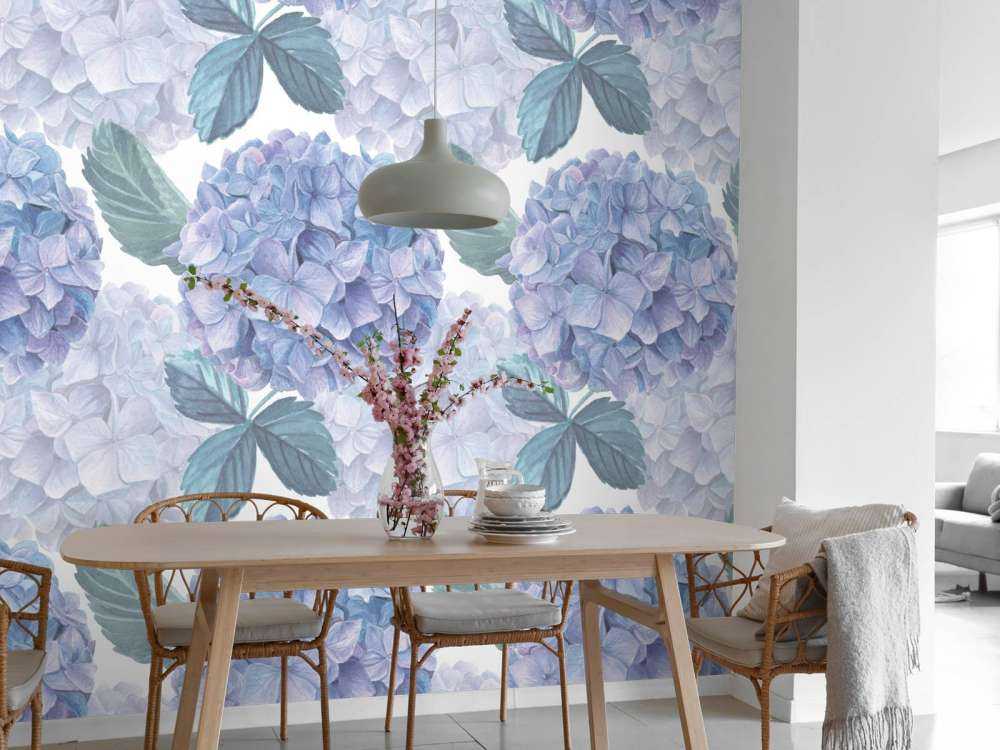 Rosée sur les Hortensias