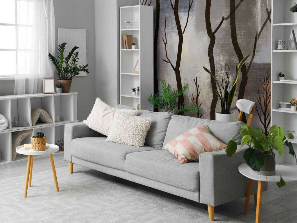 Crépuscule Silence Forêt de cerfs