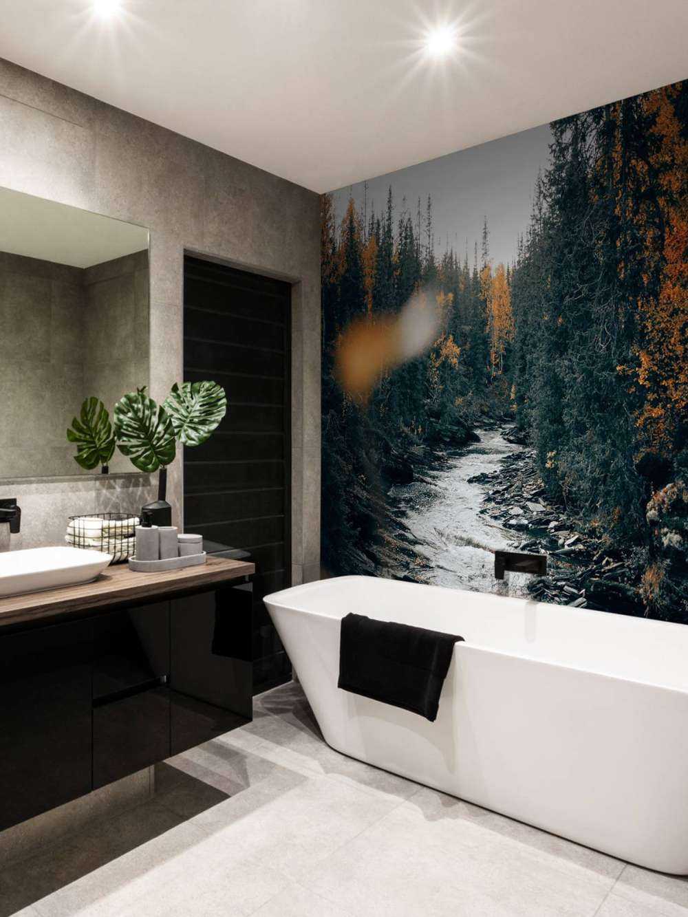 Forêt d'automne enchantée