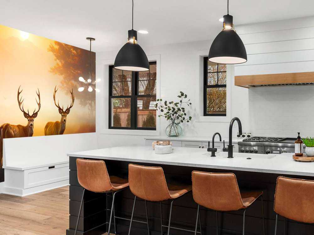 Gloire du matin Splendeur du cerf