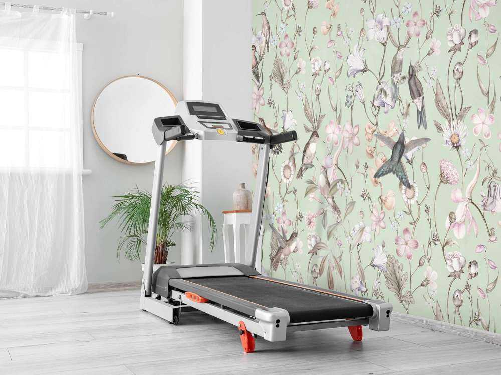 Printemps Éthéré - Prairie de Menthe