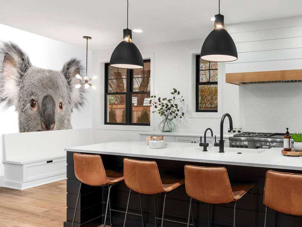 Photo d'un koala