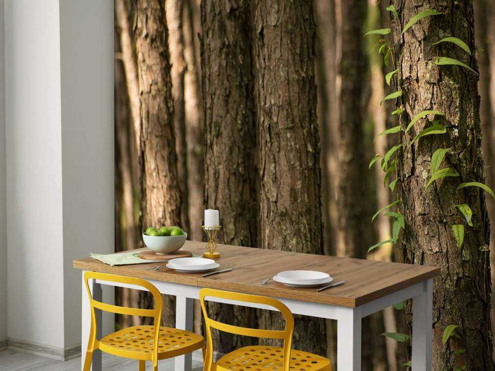 Troncs d'arbres minces