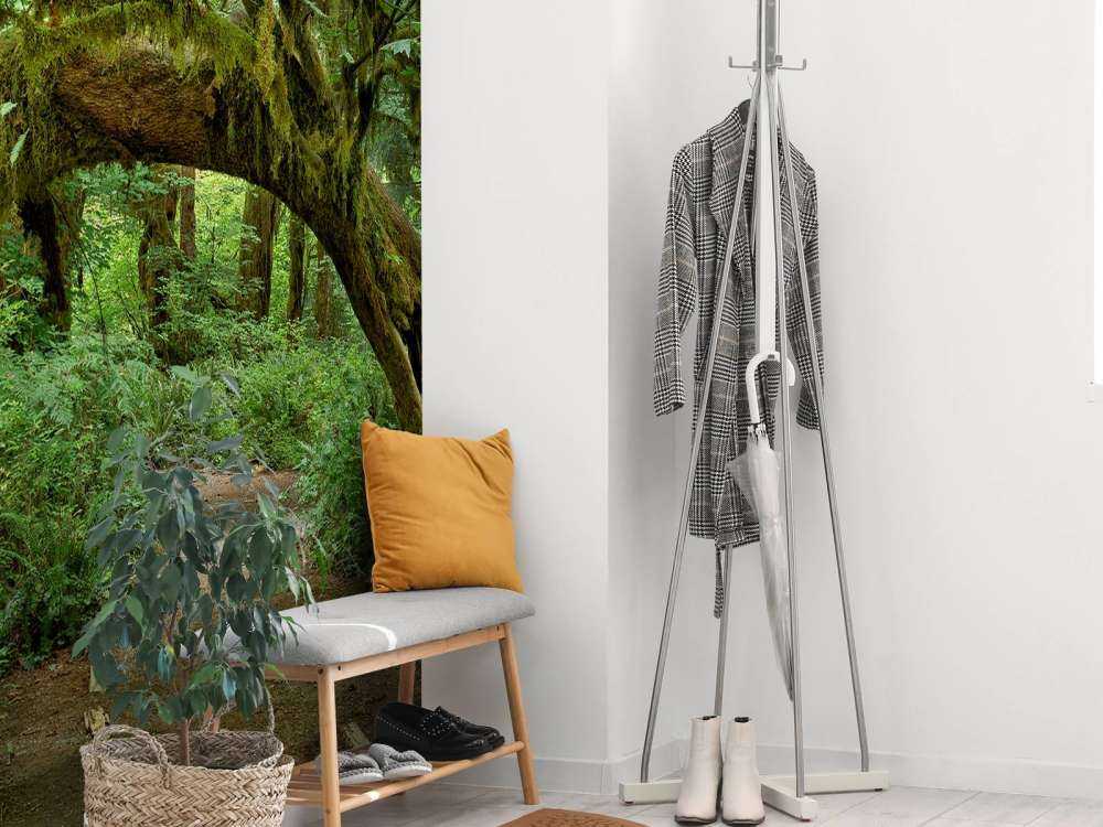 Arbre dans une arche