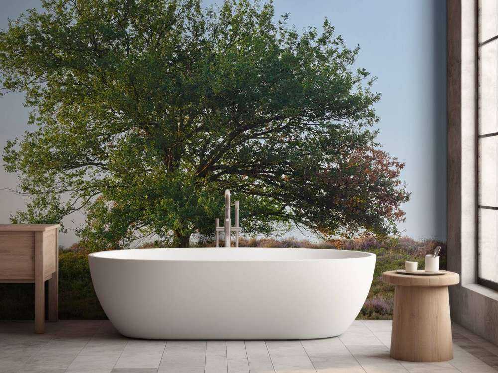 Arbre solitaire sur la lande