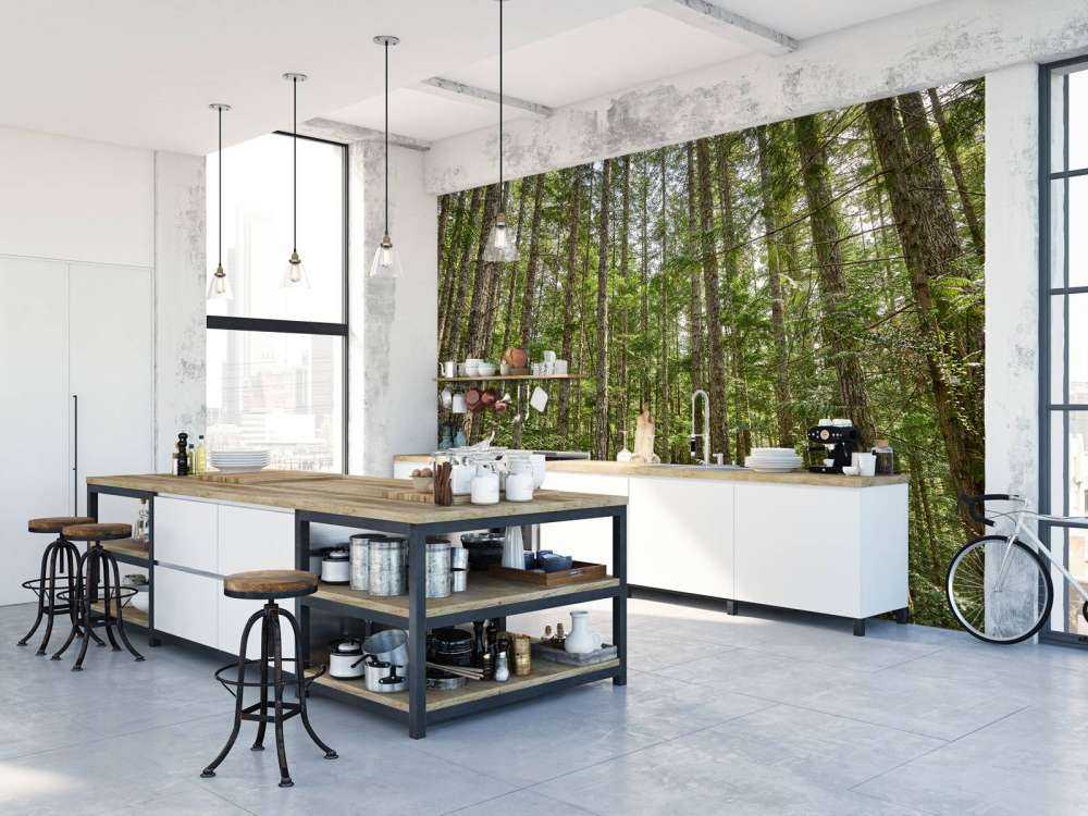 Arbres minces dans la forêt