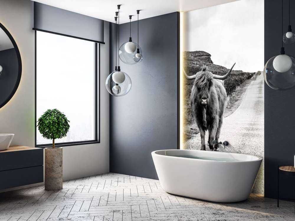 Le Highland écossais sur la route