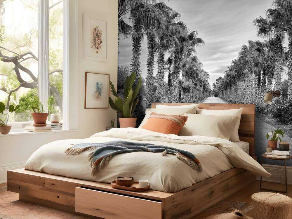 Rue avec des palmiers