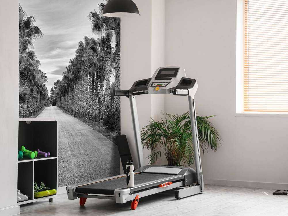 Rue avec des palmiers