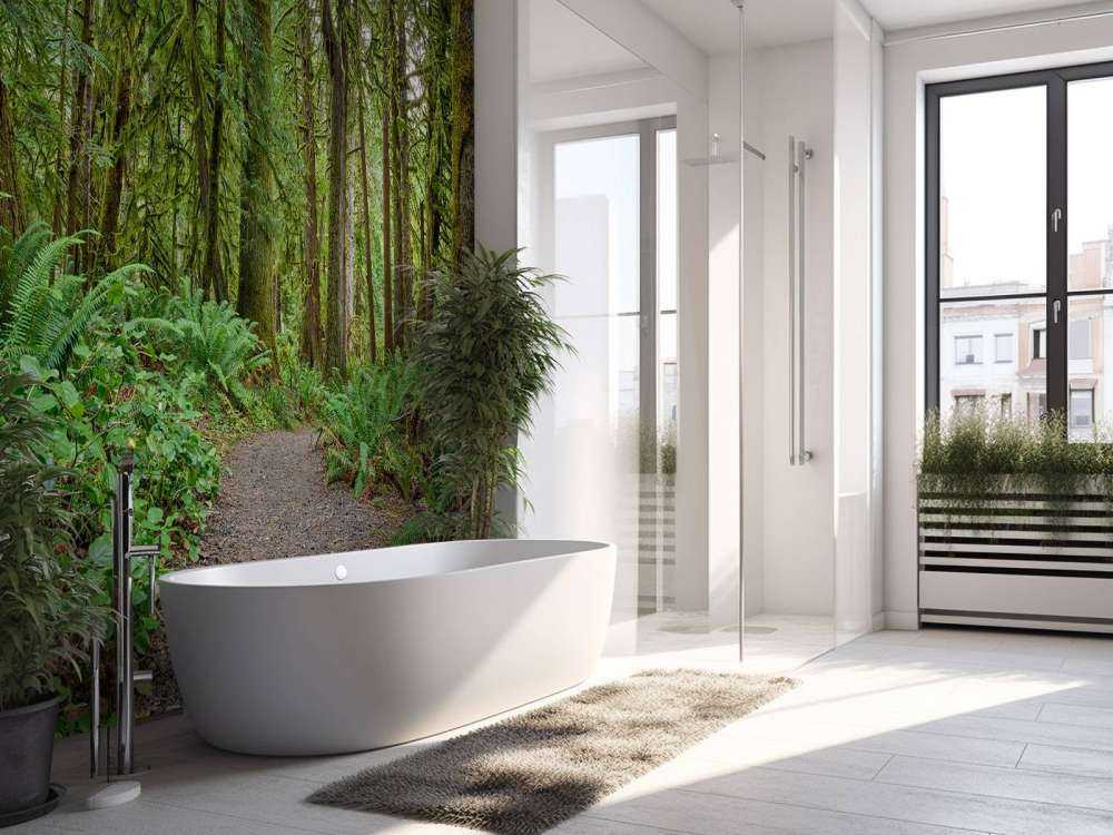 Sentier en pierres à travers la forêt