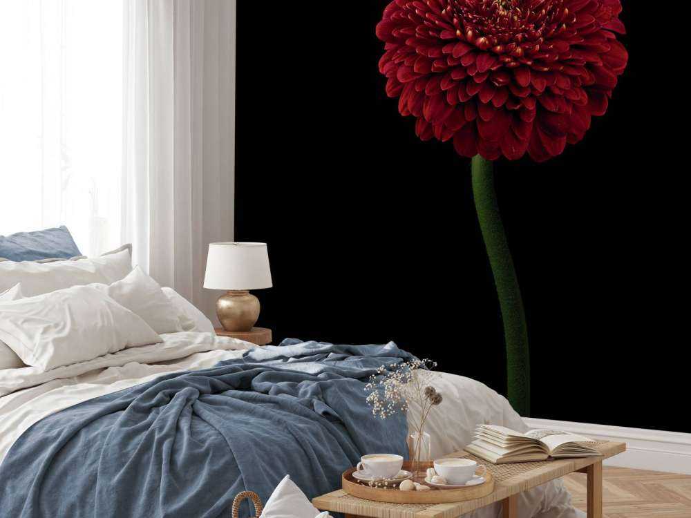 Fleur rouge sur la tige