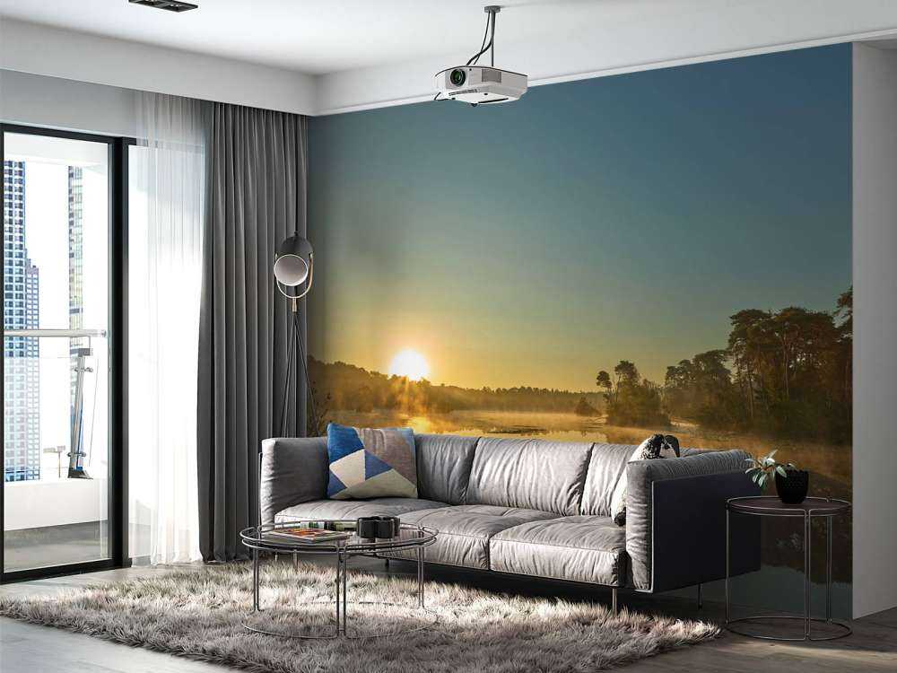 Lever de soleil au lac forestier