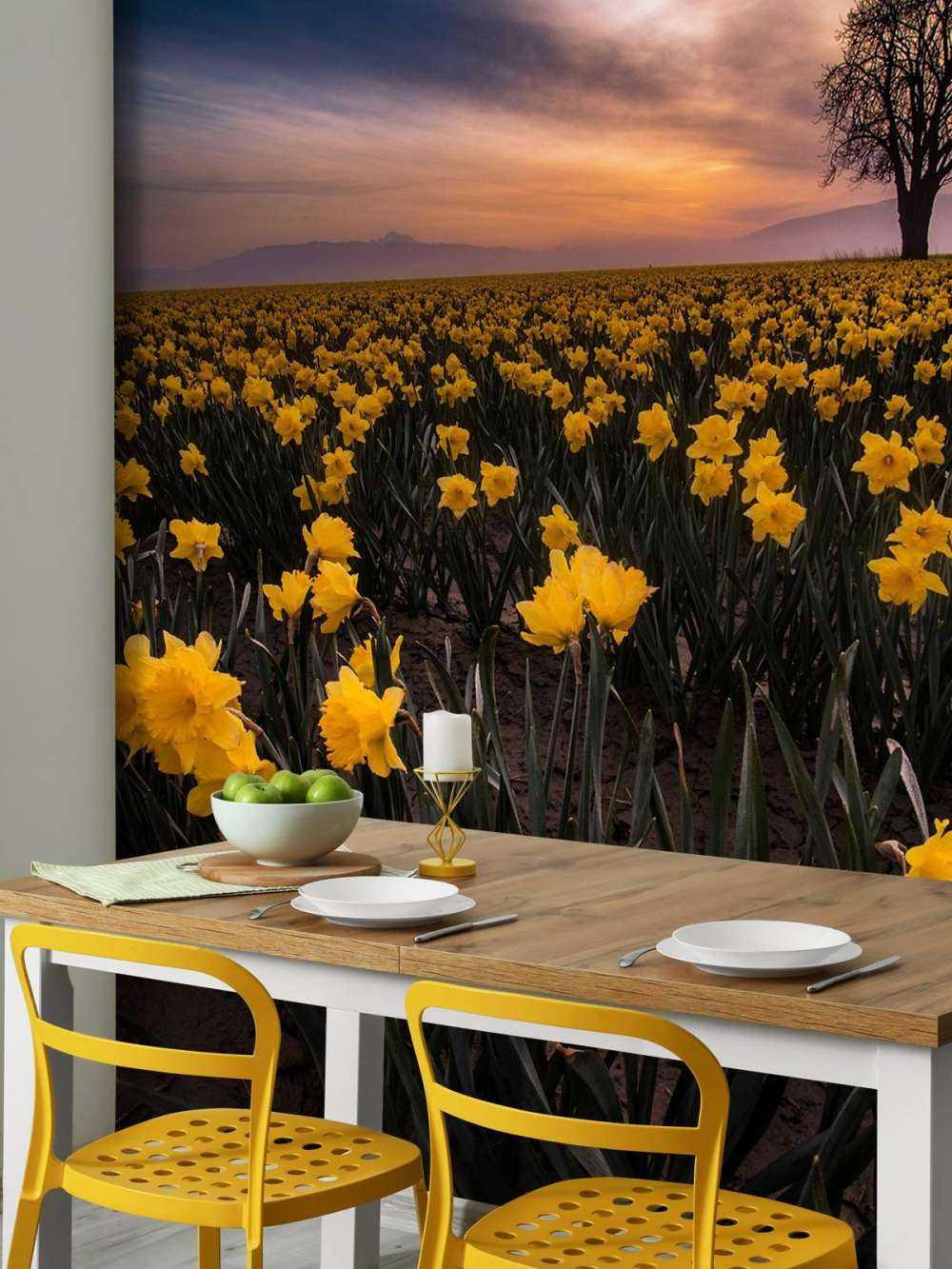 Champ avec jonquilles