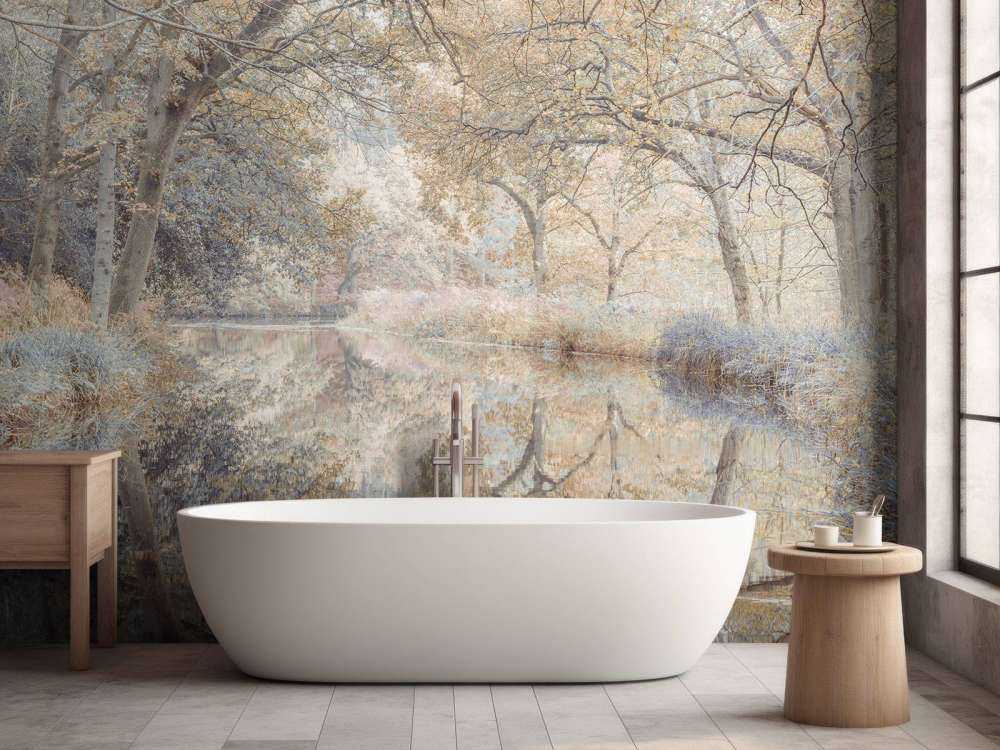 Rivière dans les bois