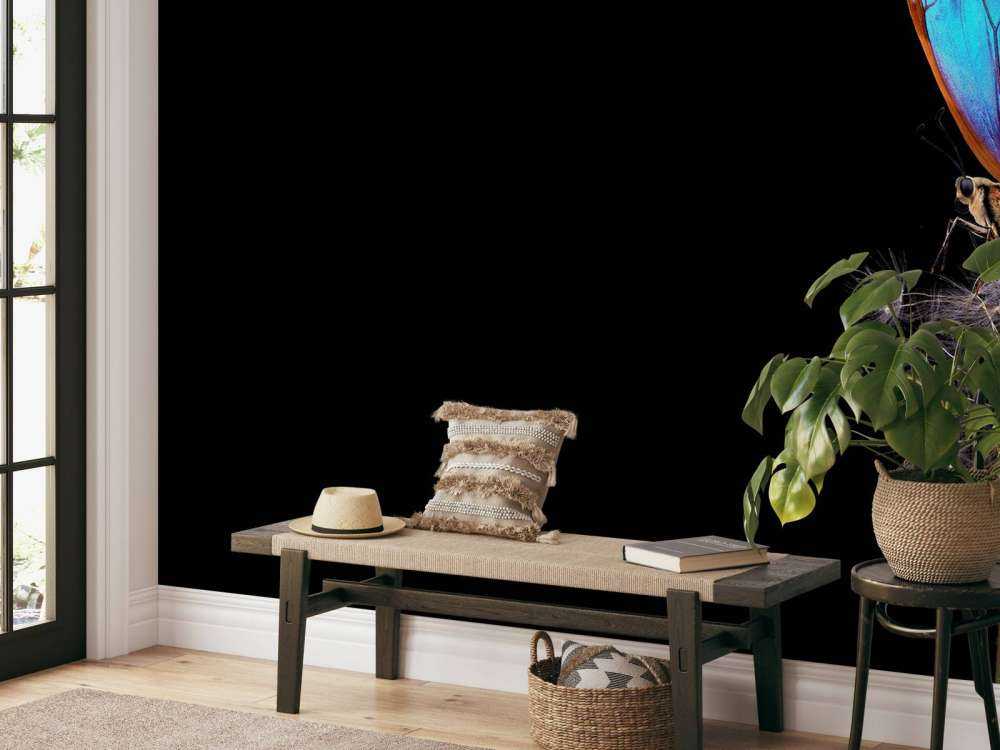 Papillon bleu sur un pissenlit