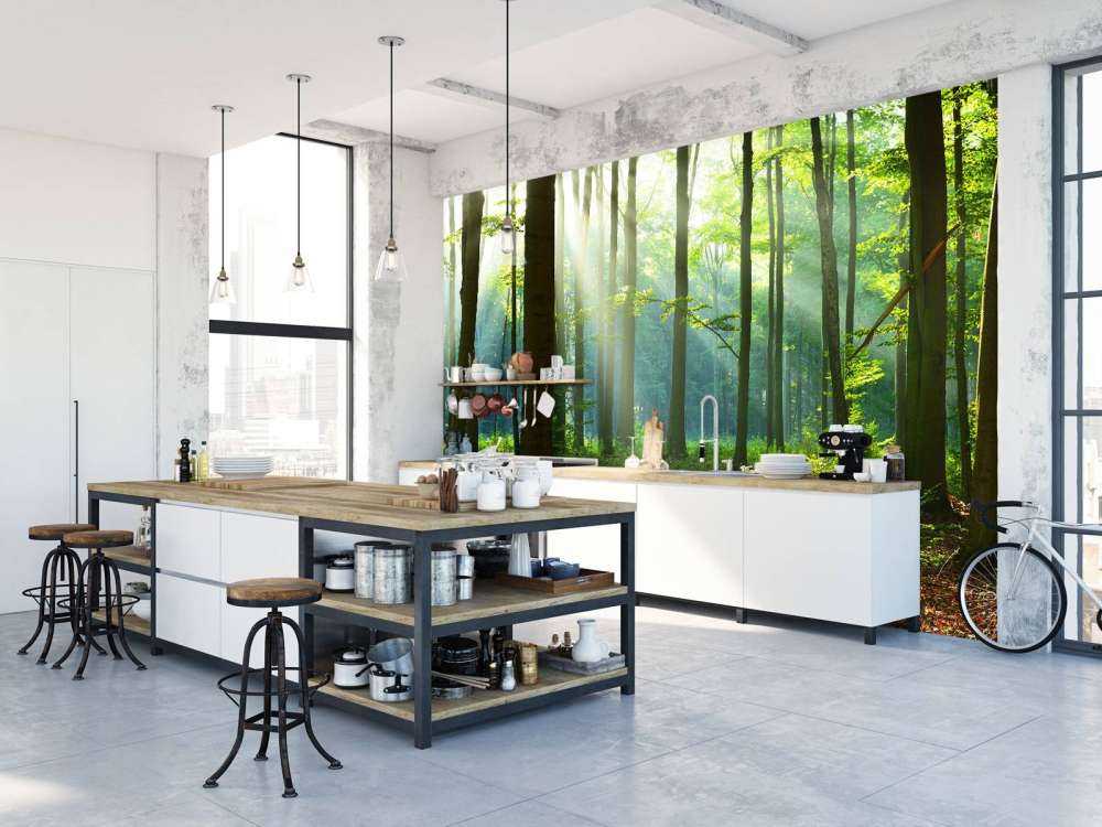 Matin dans la forêt