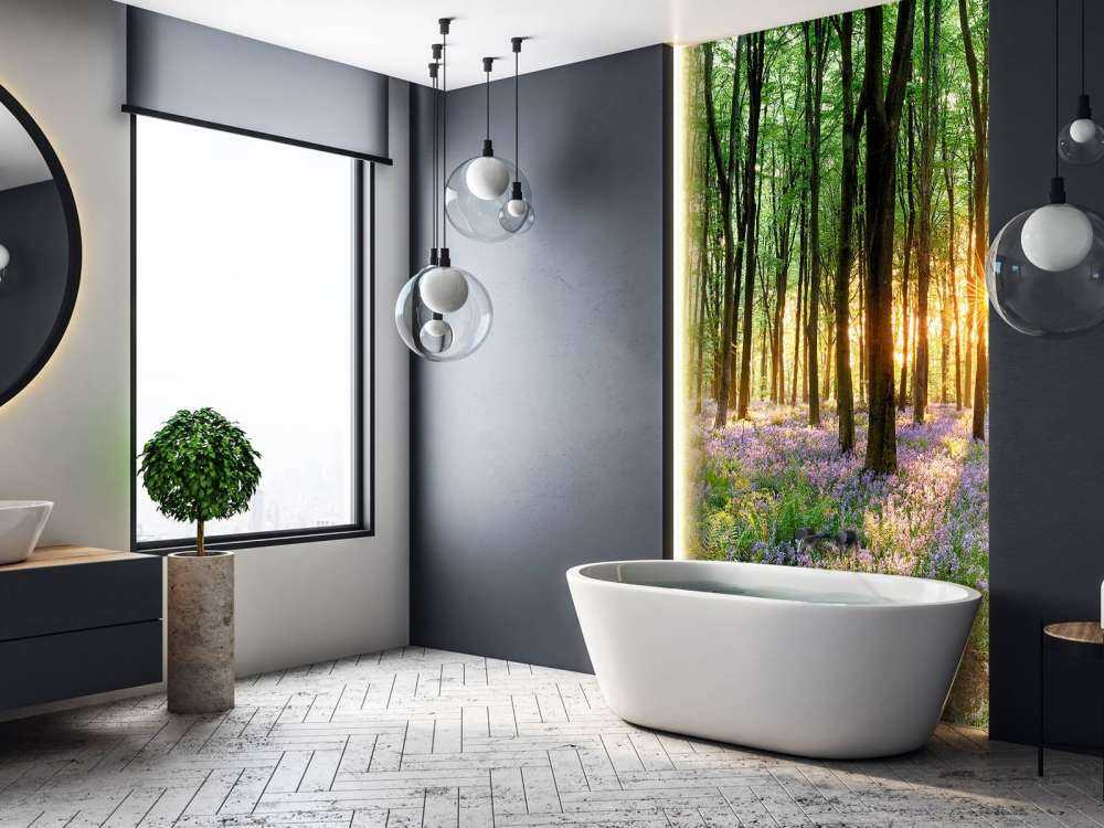 Chemin forestier au lever du soleil