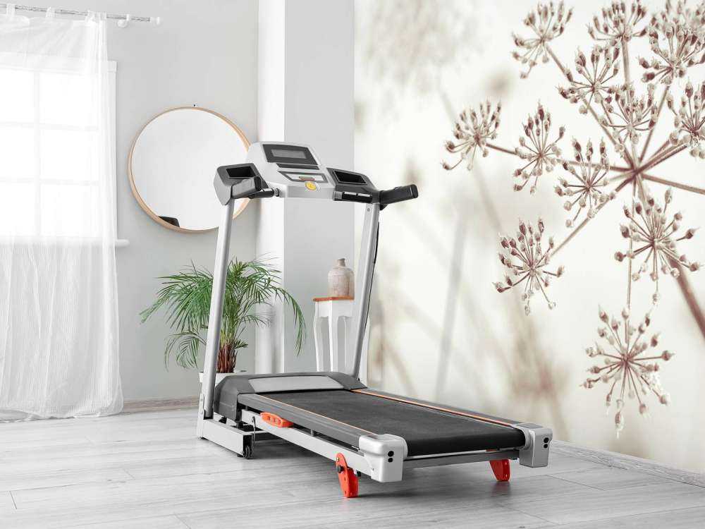 Cerfeuil sauvage en gros plan