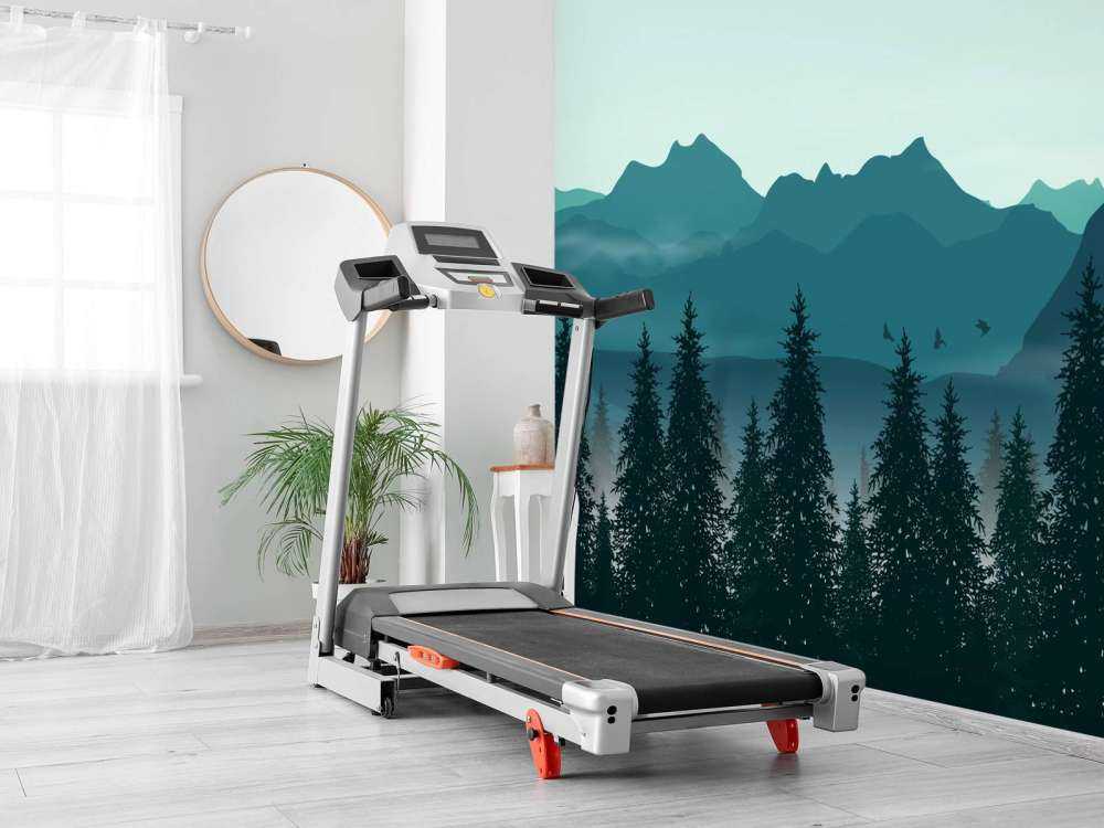 Illustration de la forêt