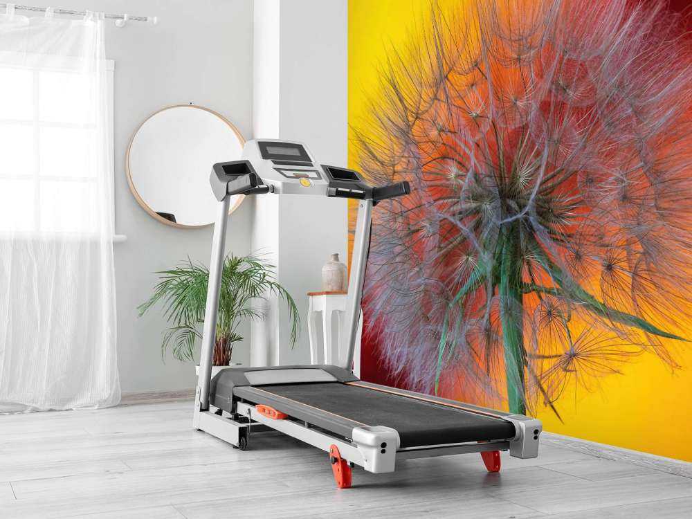 Gros plan sur un pissenlit