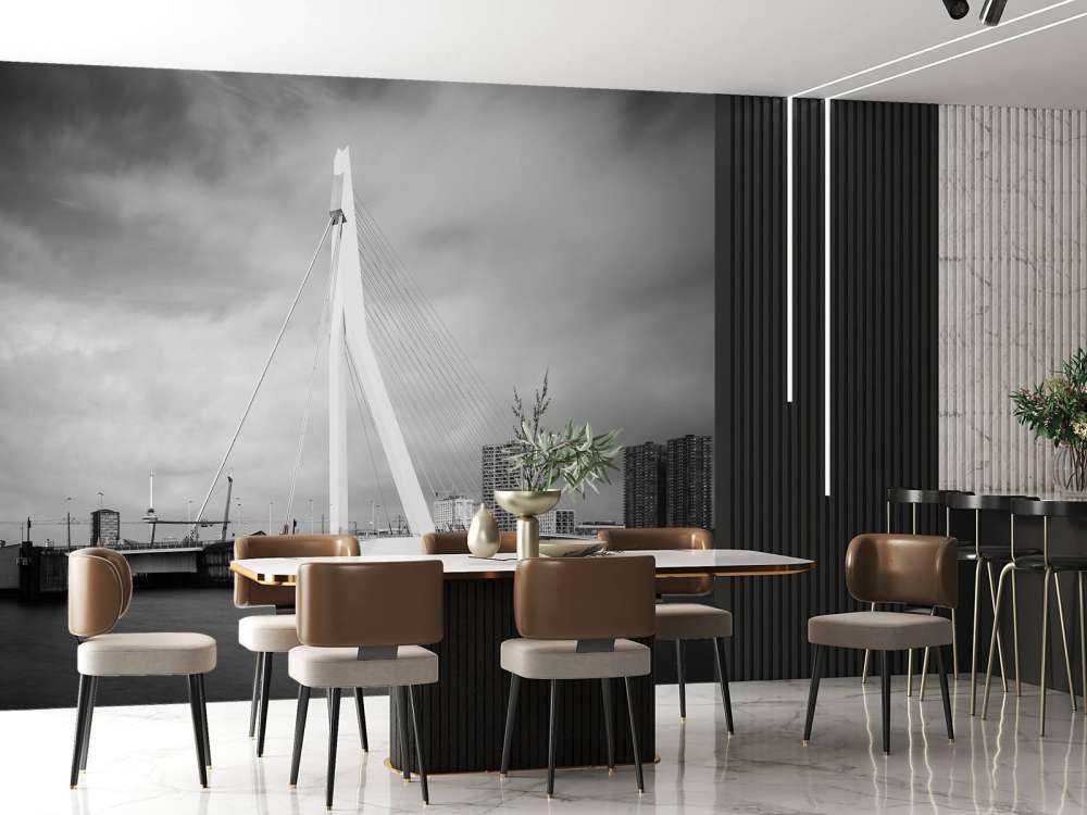 Pont Erasmus Rotterdam