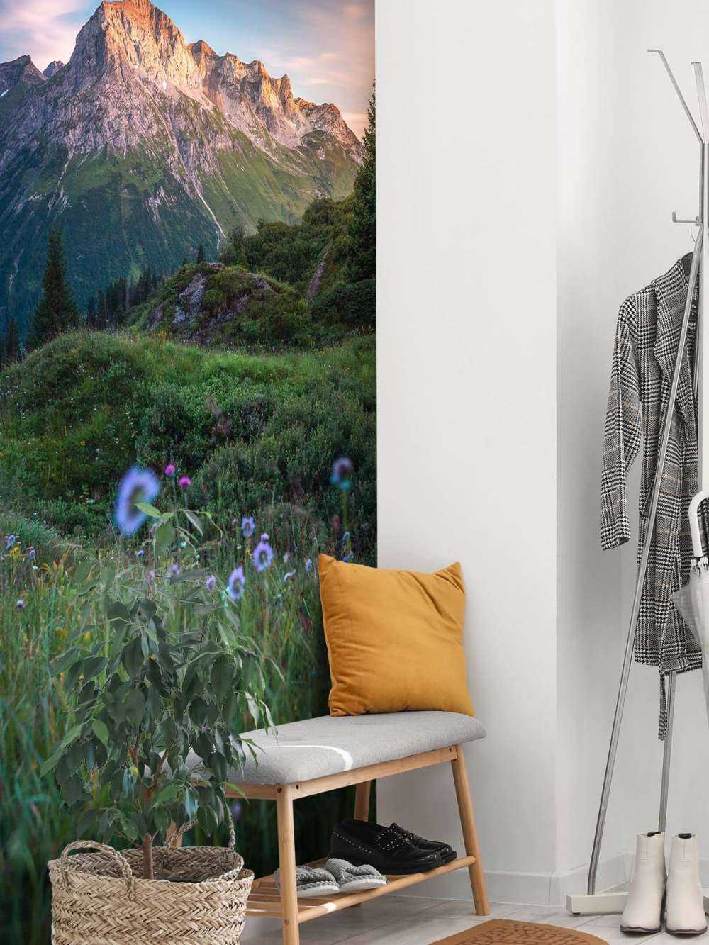 Lumière du soir sur la vallée des fleurs