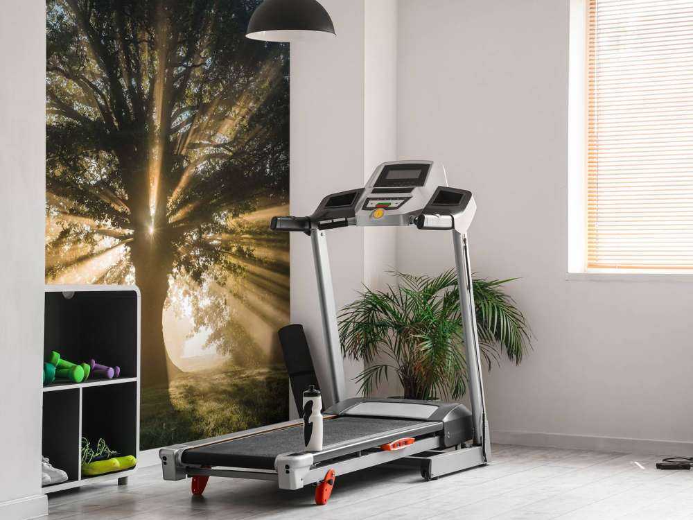 Rayons de soleil à travers le Vieux Chêne